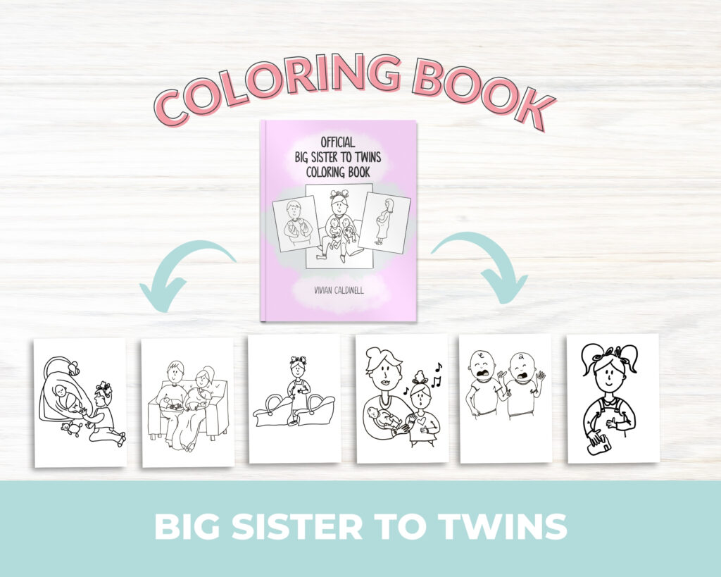 Big Sister To Twins Book